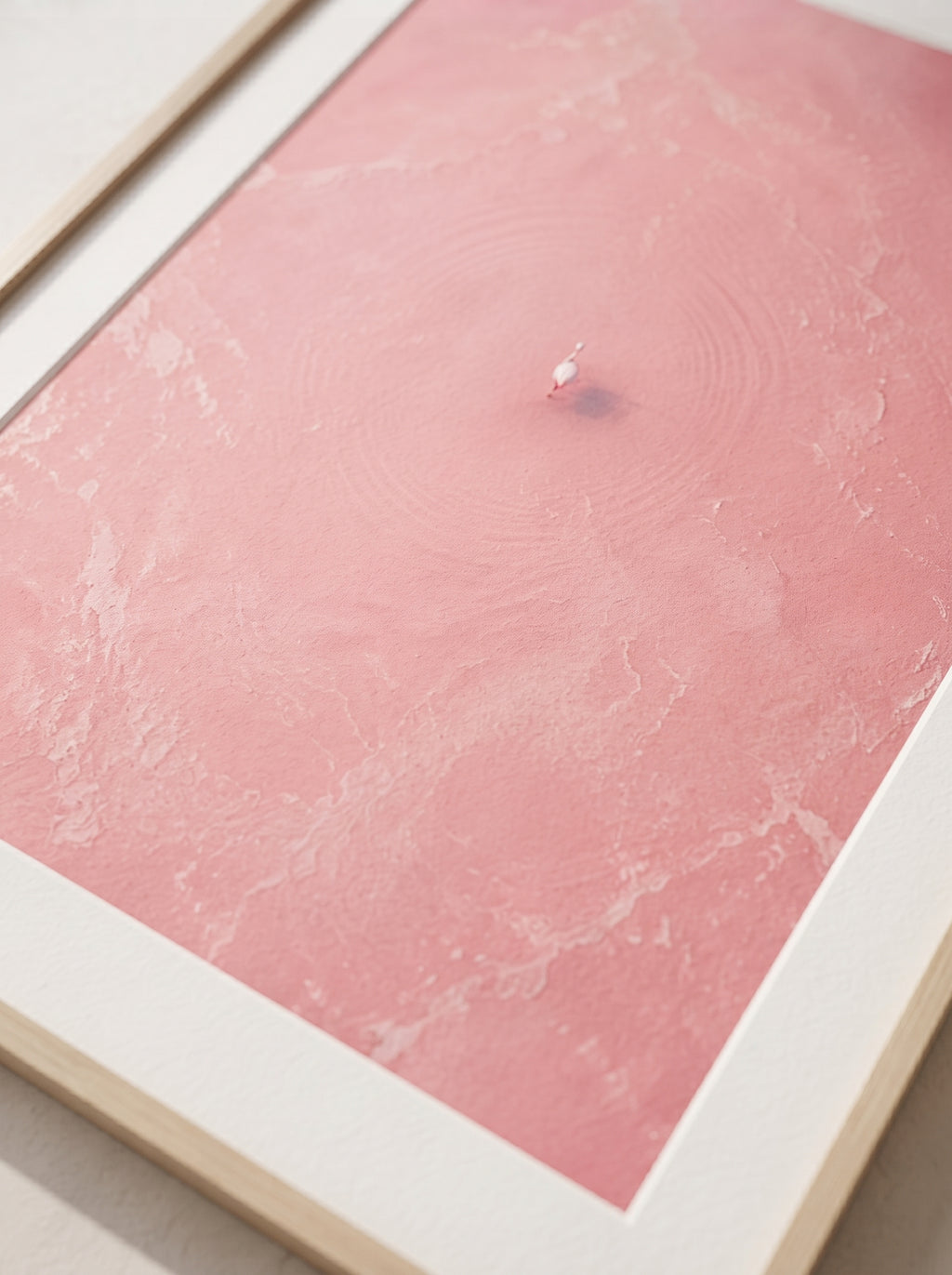 Blush Stillness