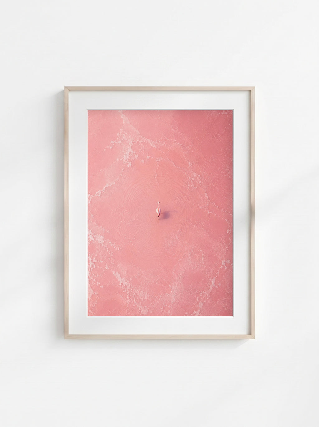 Blush Stillness