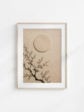 Moonbranch
