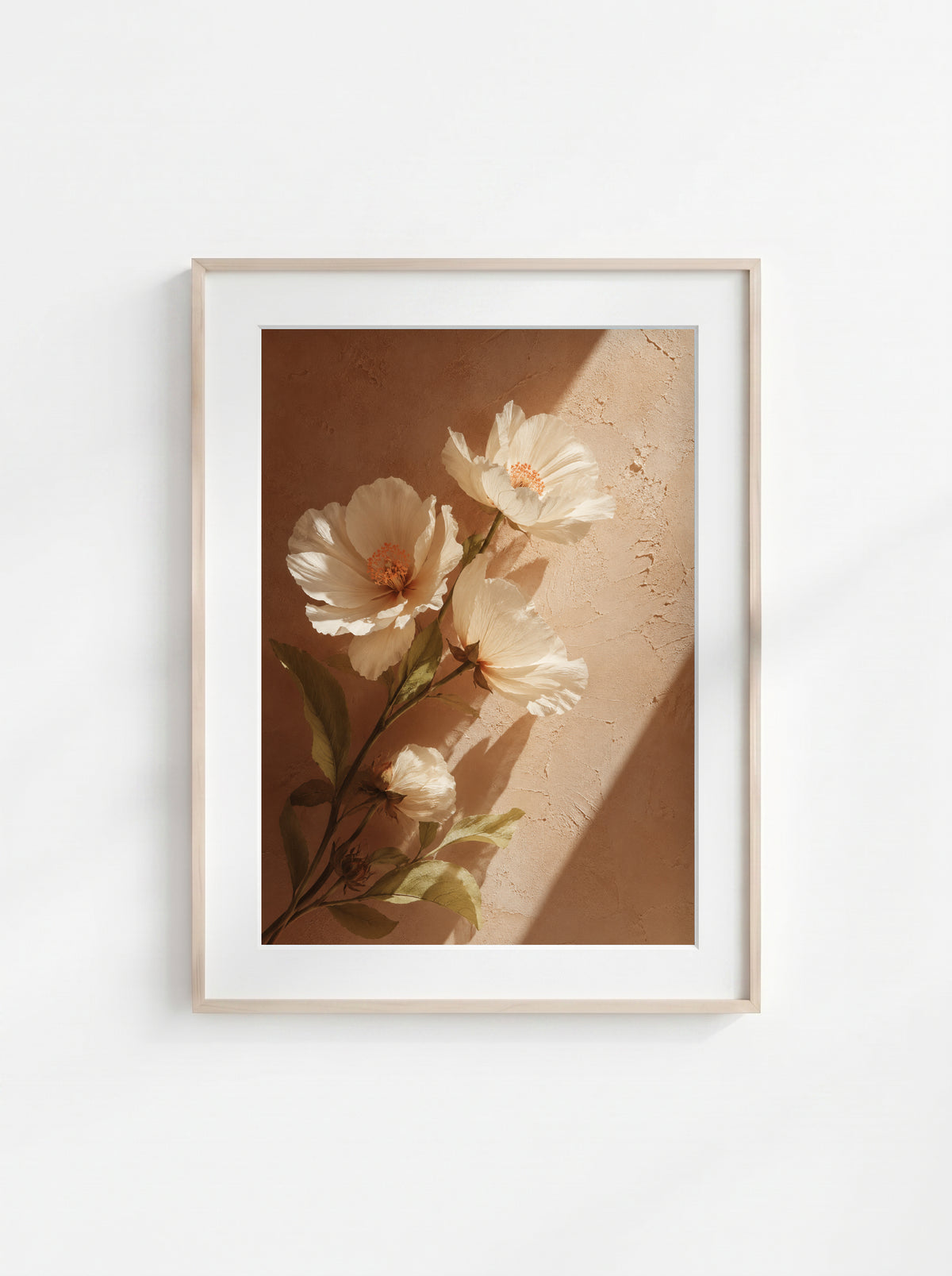 Sunlit Petals