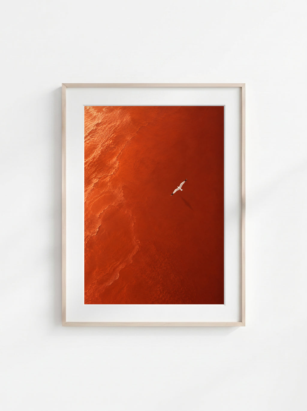 Red Current
