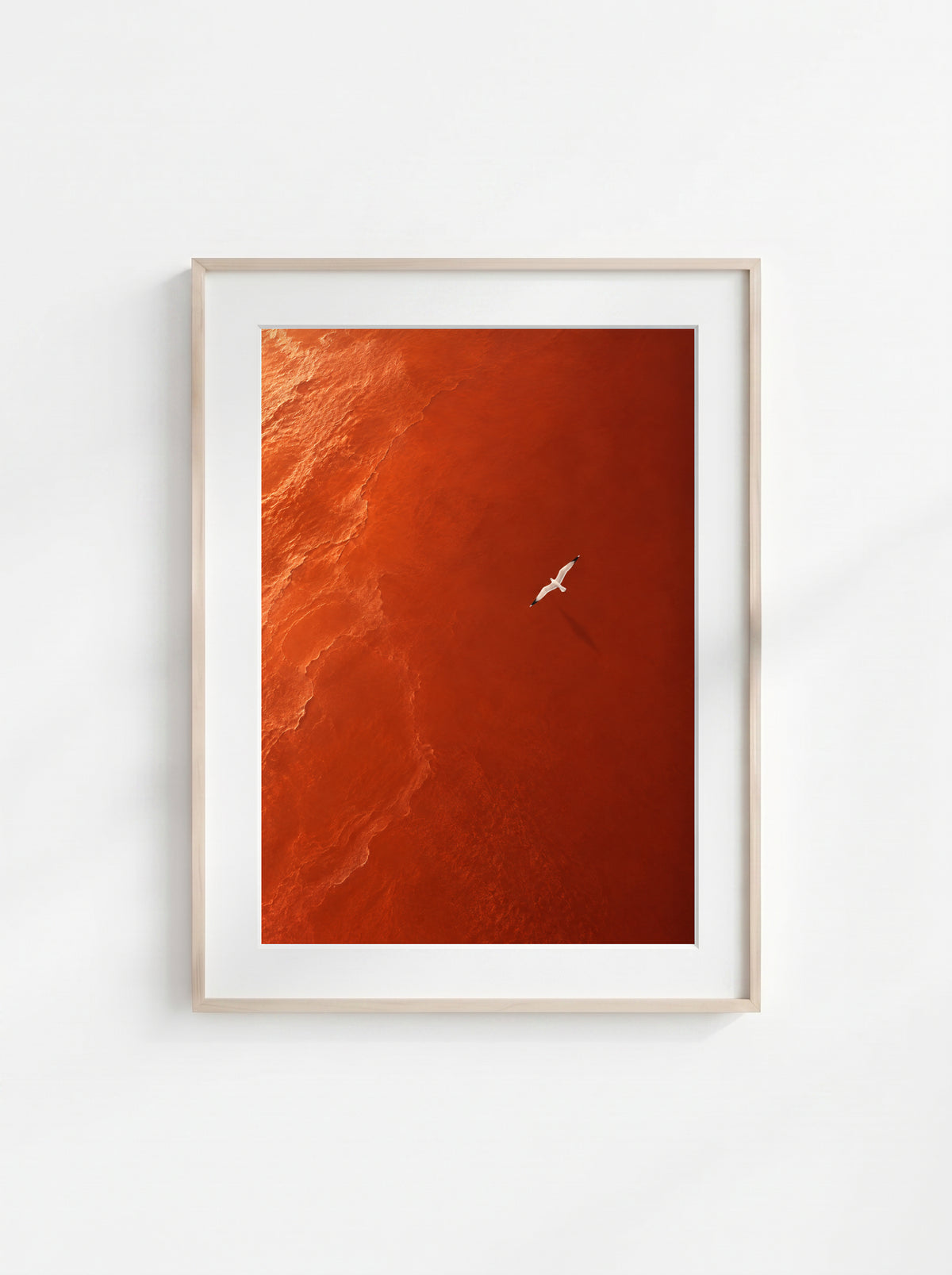 Red Current
