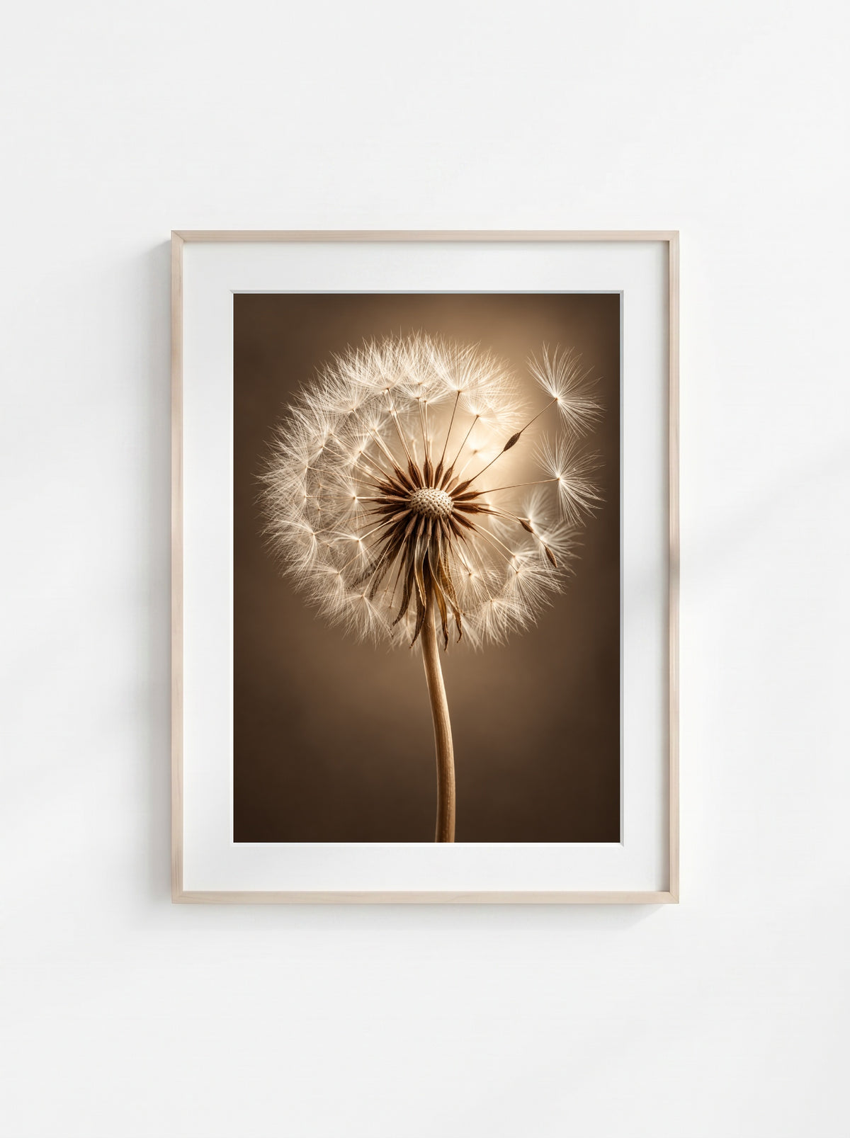 Close-up botanical wall art of a dandelion seed head in warm sepia tones against a soft brown background.
