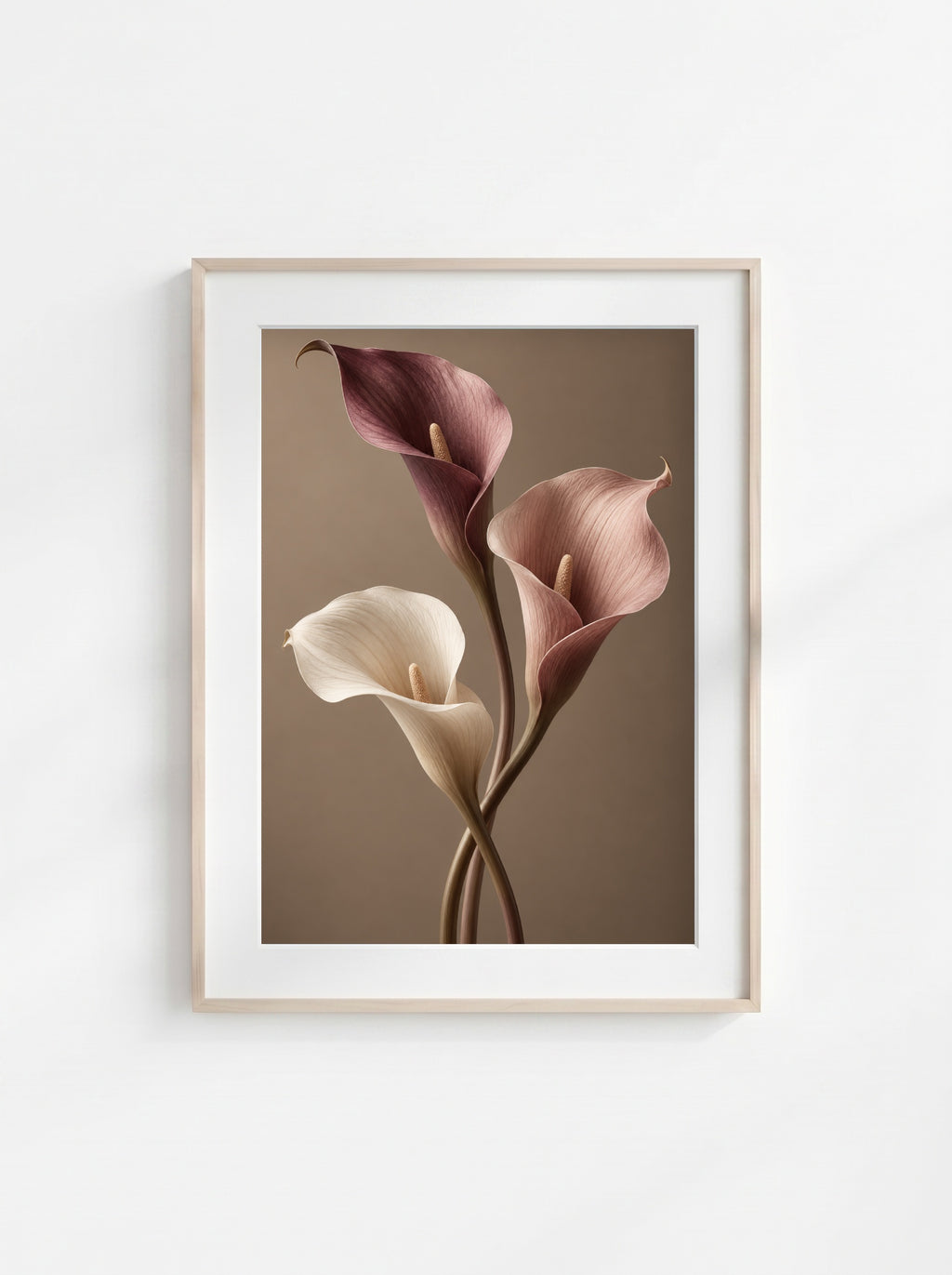 Velvet Calla