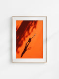 Orange Match