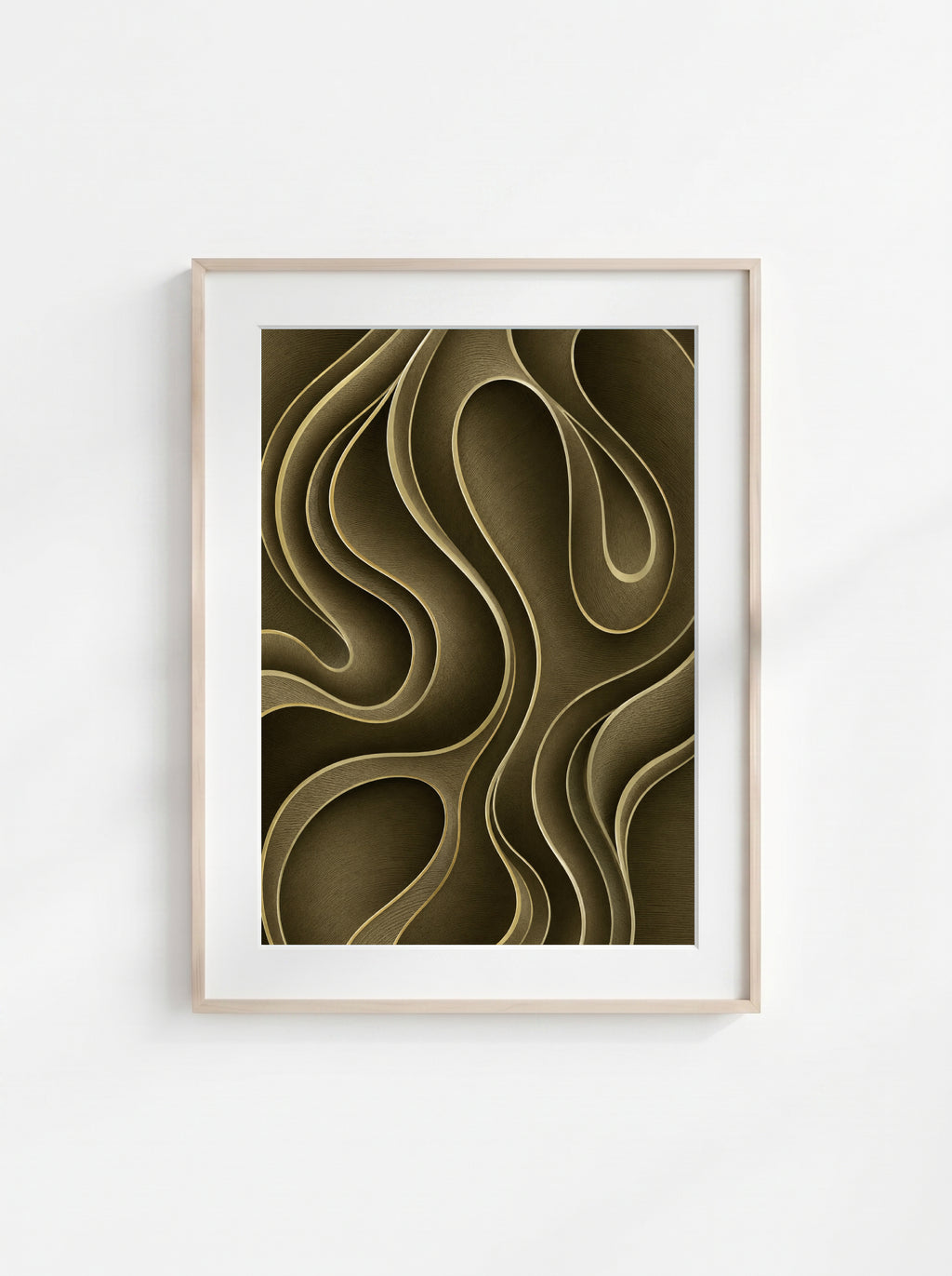 Olive Contour