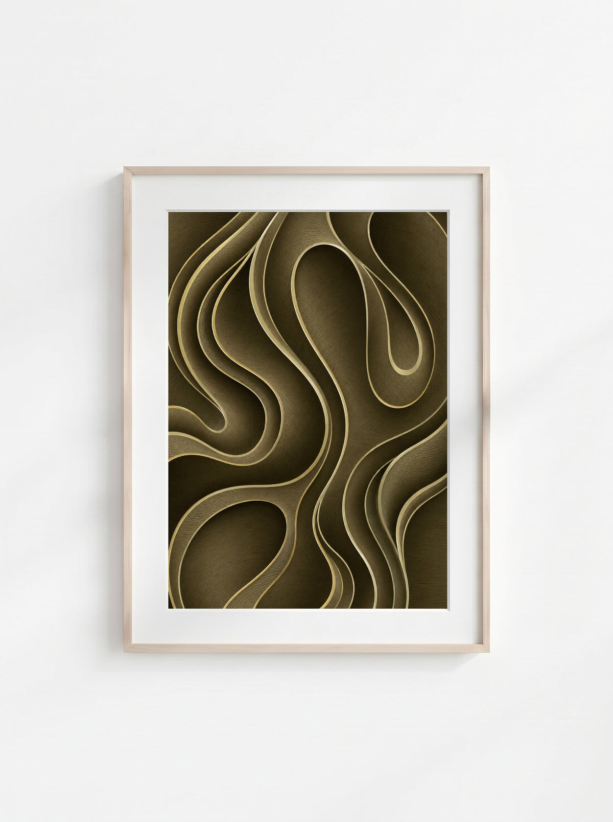 Olive Contour
