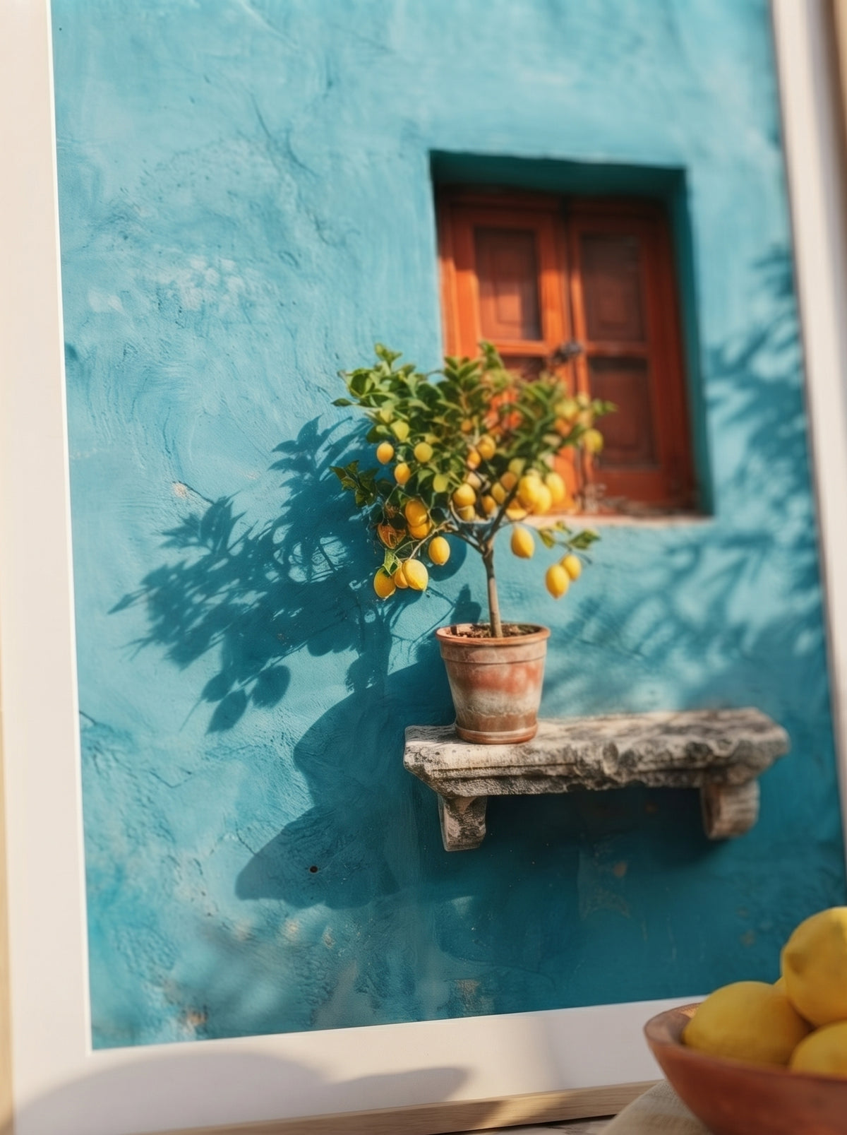 Citrus Shade