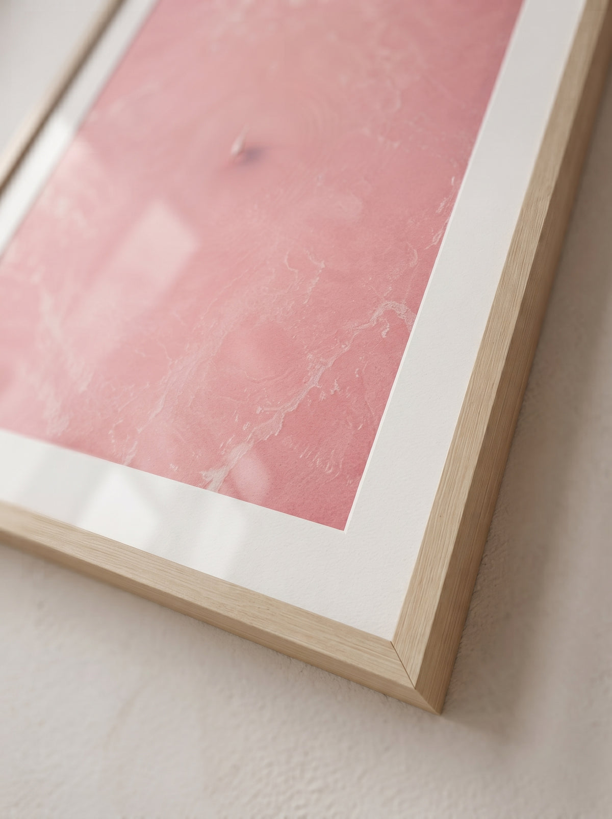 Blush Stillness