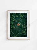 Lotus Circle