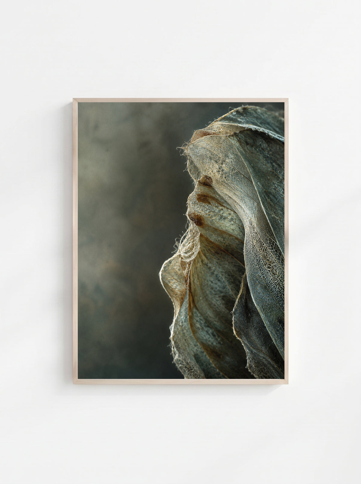 Veiled Matter