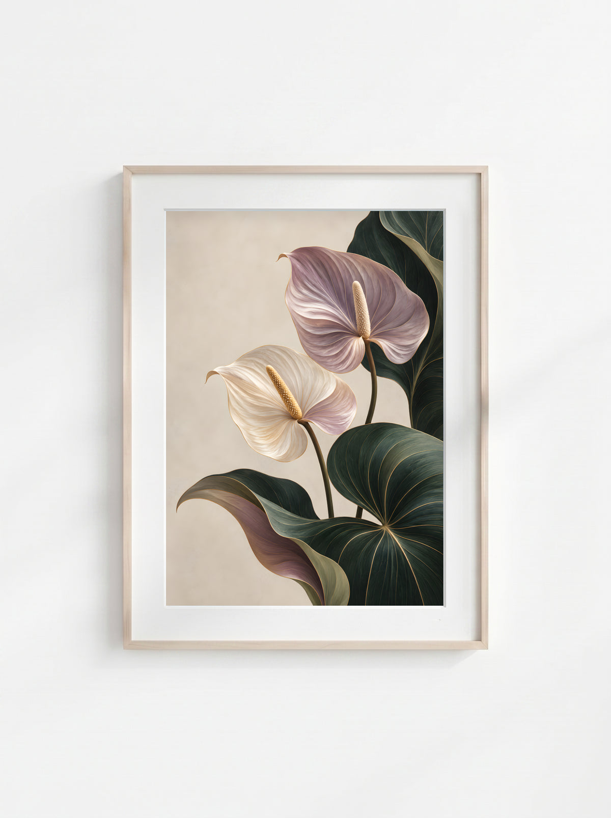 Blush Anthurium