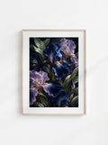Midnight Iris