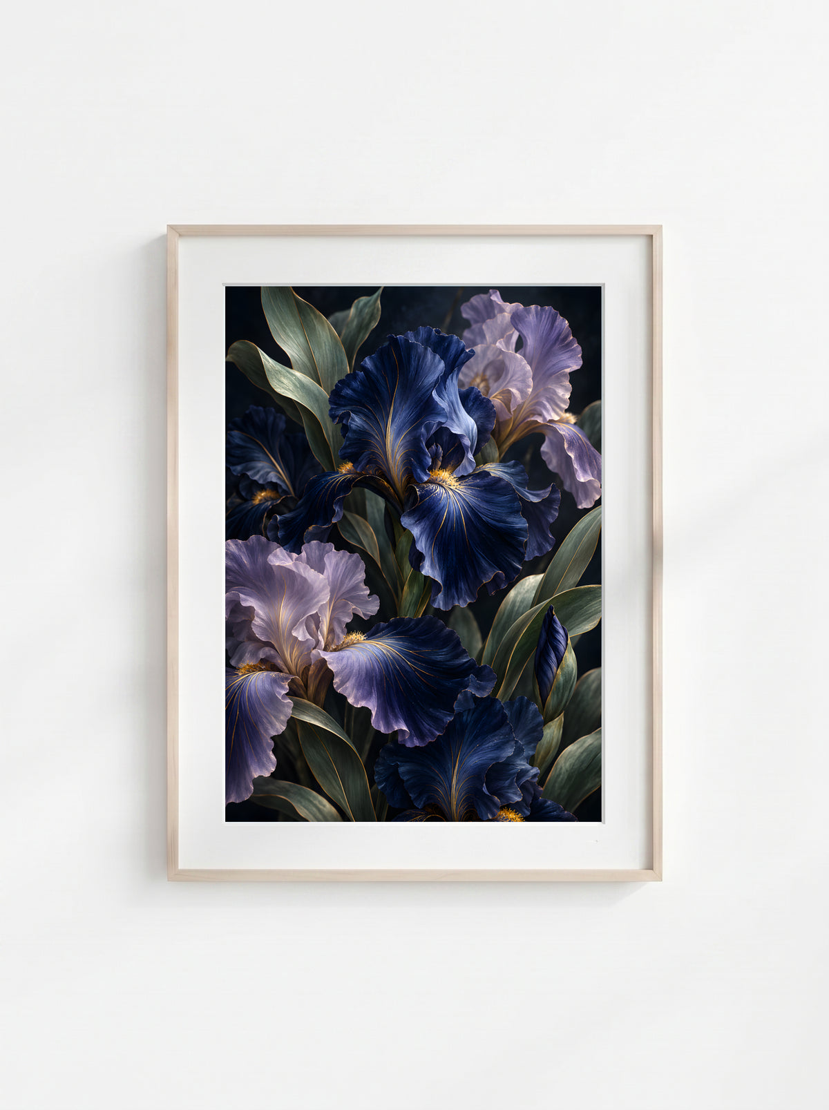 Midnight Iris