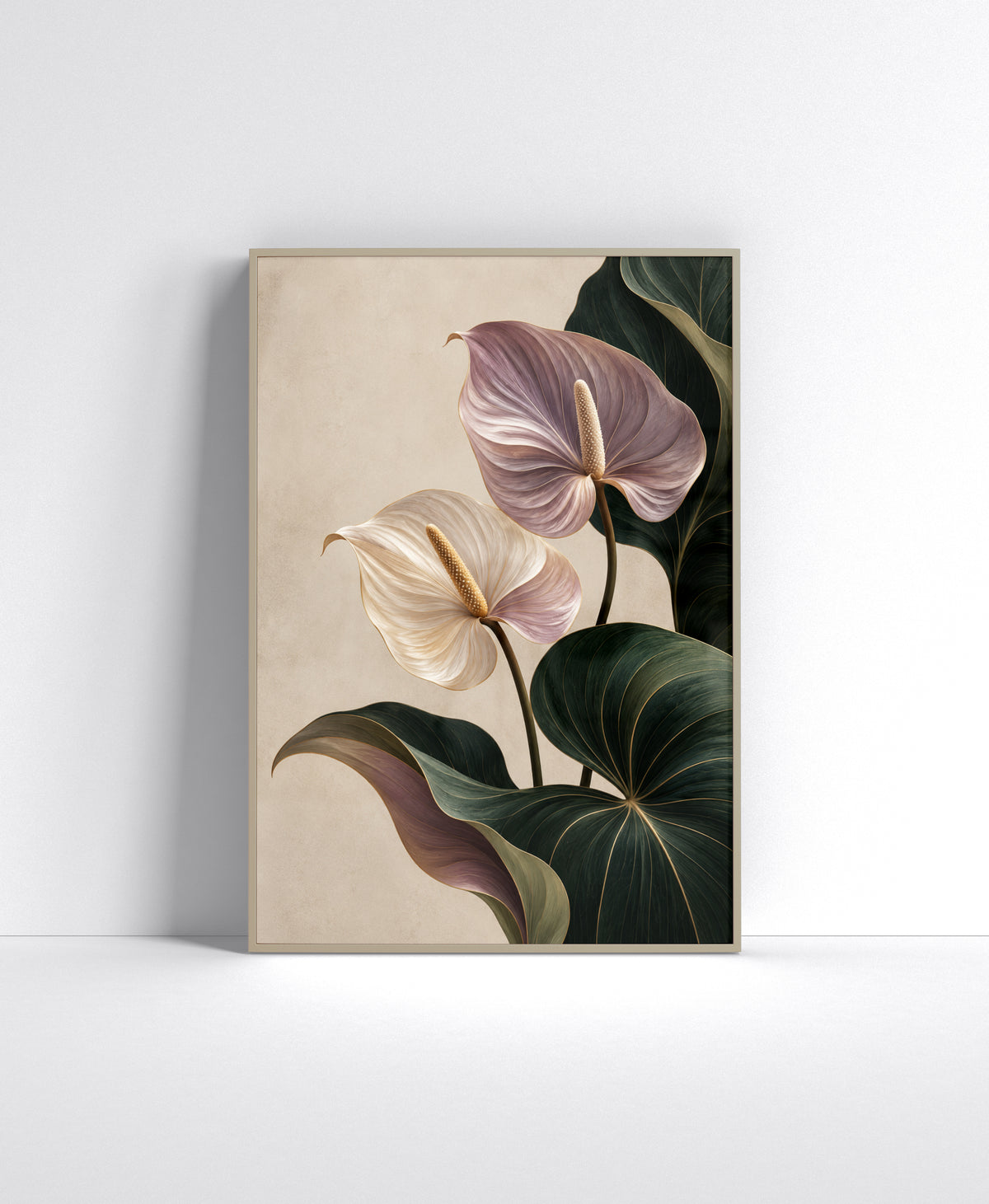 Blush Anthurium