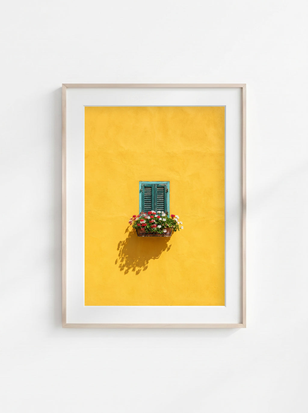 Window in Bloom