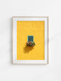 Window in Bloom
