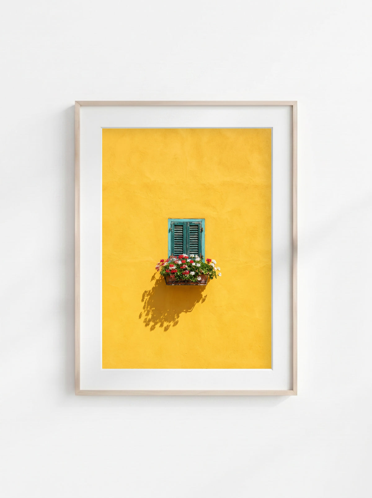 Window in Bloom