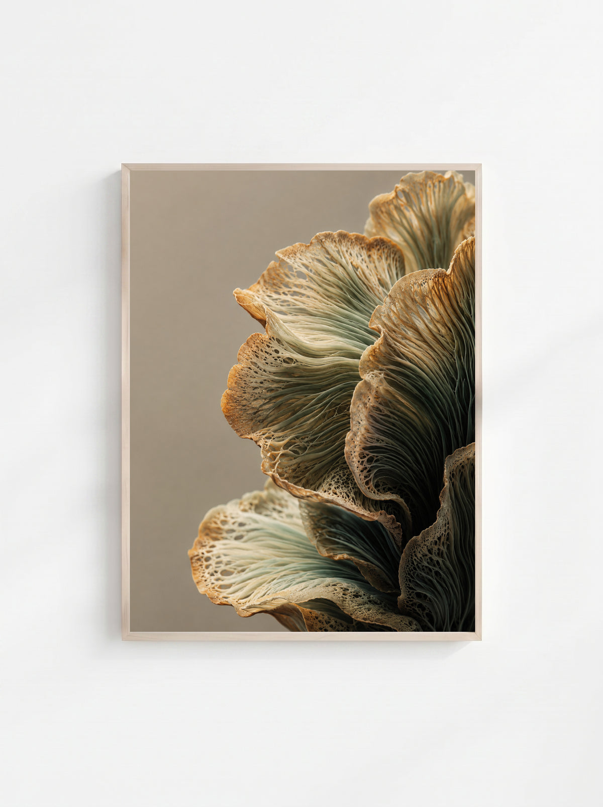Ivory Fold